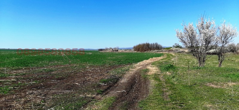 Продава ЗЕМЕДЕЛСКА ЗЕМЯ, гр. Бургас, област Бургас, снимка 3 - Земеделска земя - 52782852