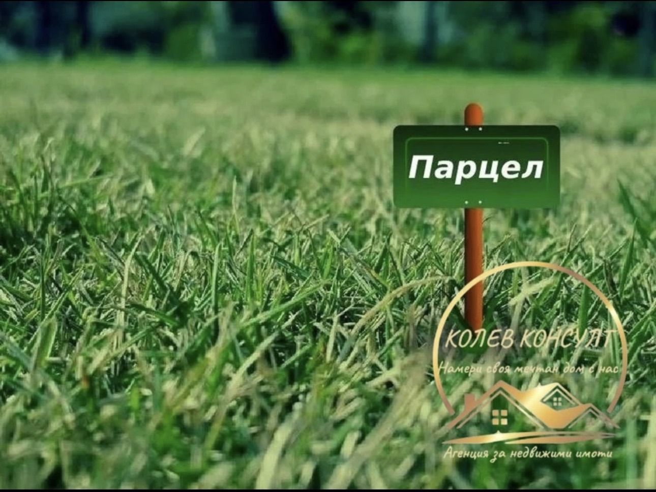 Продава  Парцел област Хасково , гр. Симеоновград , 2000 кв.м | 65685979
