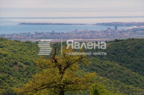 ����� ������� ������,�. ��������, ������ ������