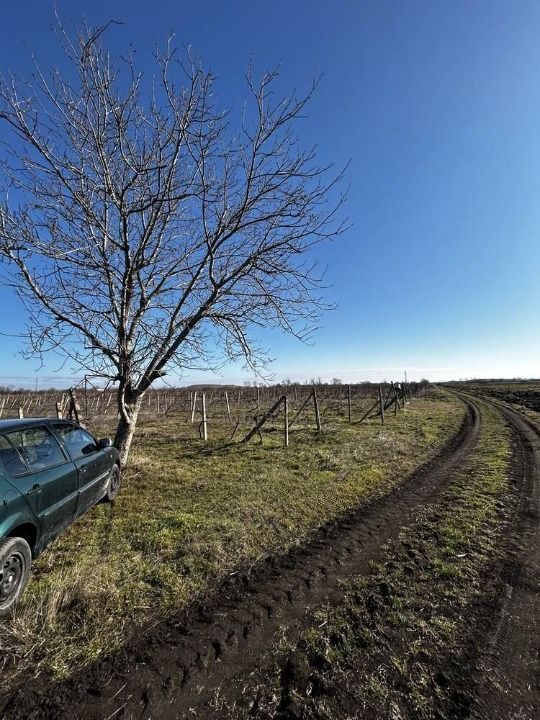 На продаж  Сюжет область Бургас , Черноморец , 658 кв.м | 71595461