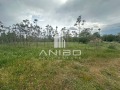 Продава ПАРЦЕЛ, с. Неофит Рилски, област Варна, снимка 1