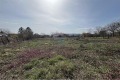 Продава ПАРЦЕЛ, град Шумен, м-т Чашка • 26060 € / 50968.93 лв. • 88986998 1