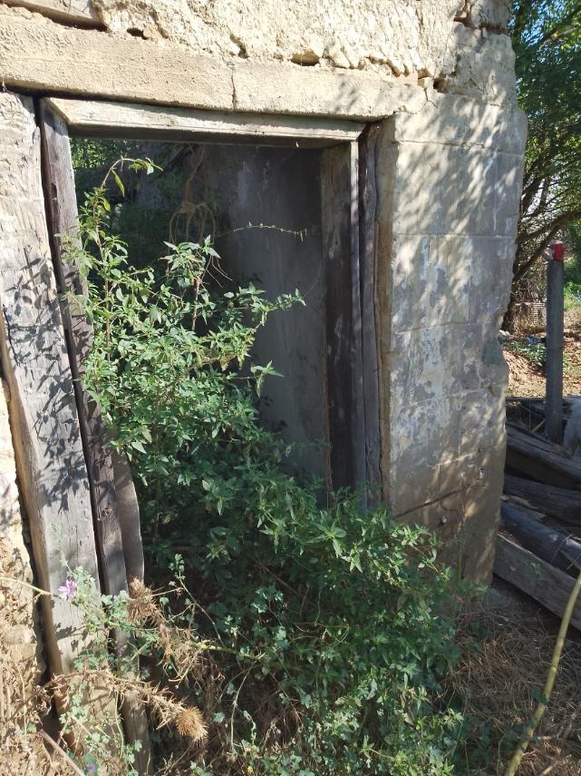 ������� ������ | Imot.bg � ����������� 8