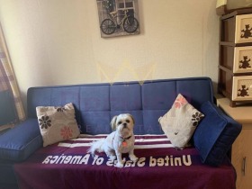 ������� 2-����� | Imot.bg � ����� ������ 3