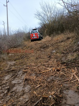 ����� ������� ������,���� ������ �������, ��������