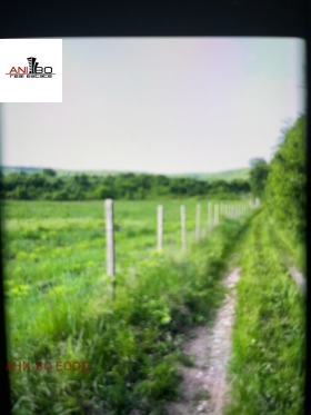 ����� ������� ������,�. ������, ������ ������