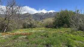 ����� ������� ���������� ����,��. �������, ������ �������