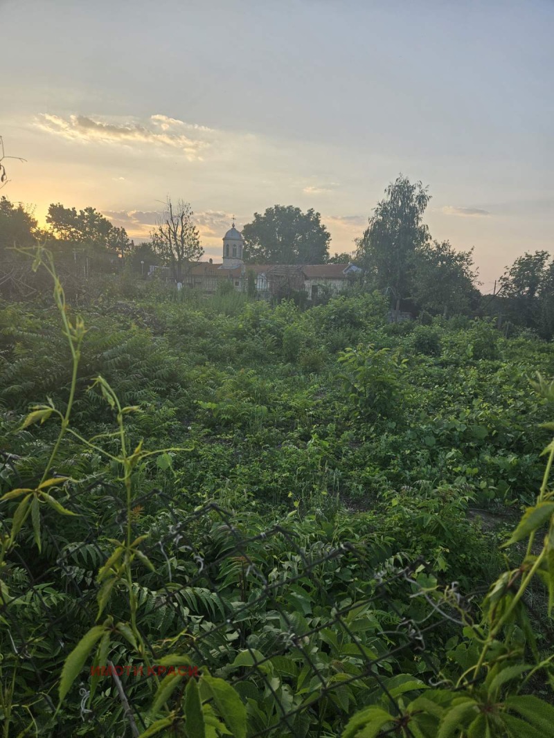 Продава  Къща област Русе , с. Тръстеник , 150 кв.м | 99496728 - изображение [4]
