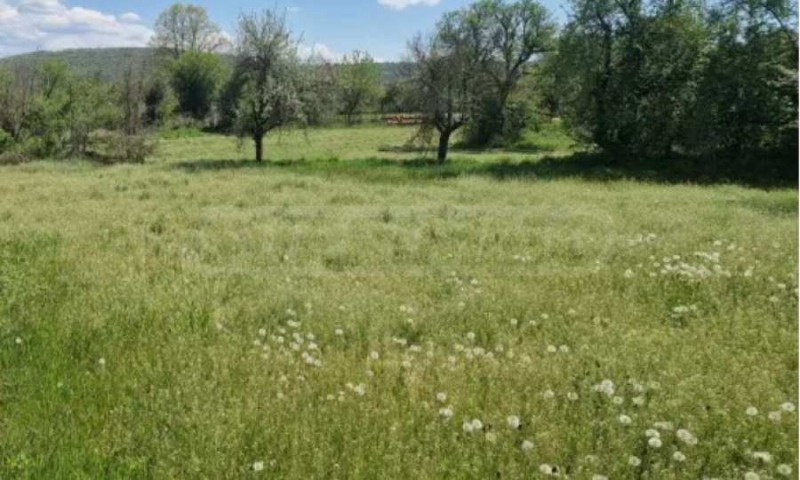 Продава КЪЩА, гр. Бяла, област Русе, снимка 2 - Къщи - 52976013