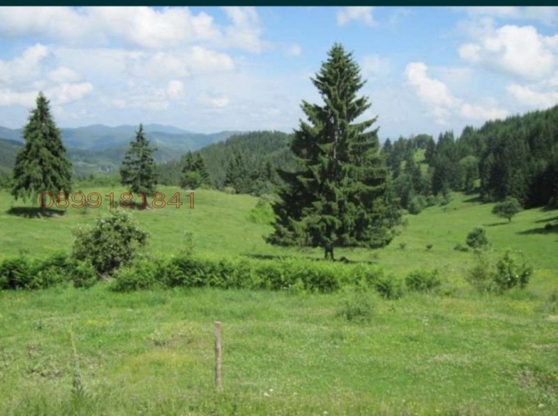 Продава ПАРЦЕЛ, к.к. Пампорово, област Смолян, снимка 2 - Парцели - 52784373