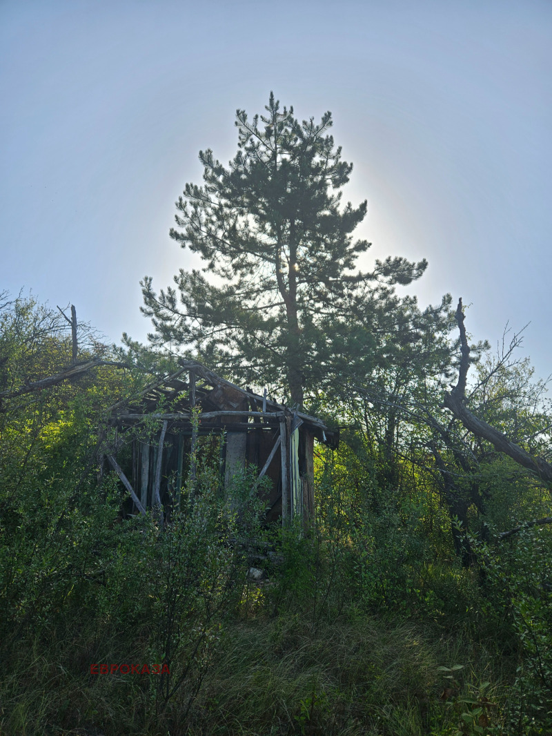 Na prodej  Spiknutí oblast Sofia , Elešnica , 600 m2 | 84608584 - obraz [6]