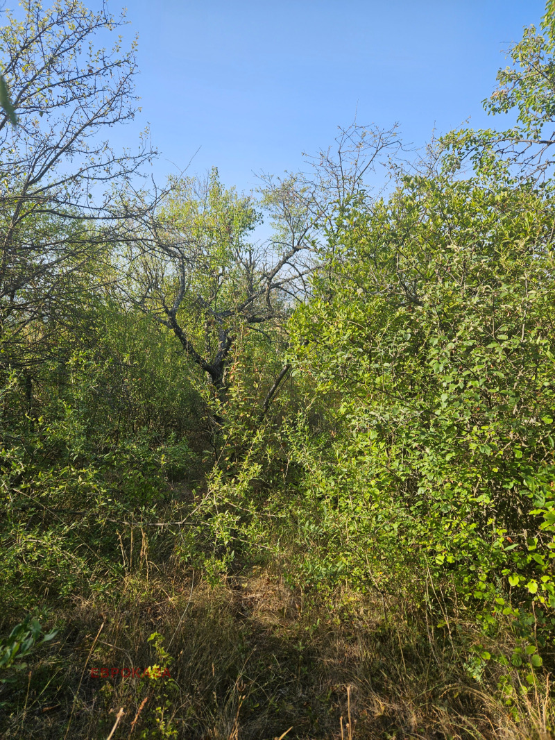 Na prodej  Spiknutí oblast Sofia , Elešnica , 600 m2 | 84608584 - obraz [3]