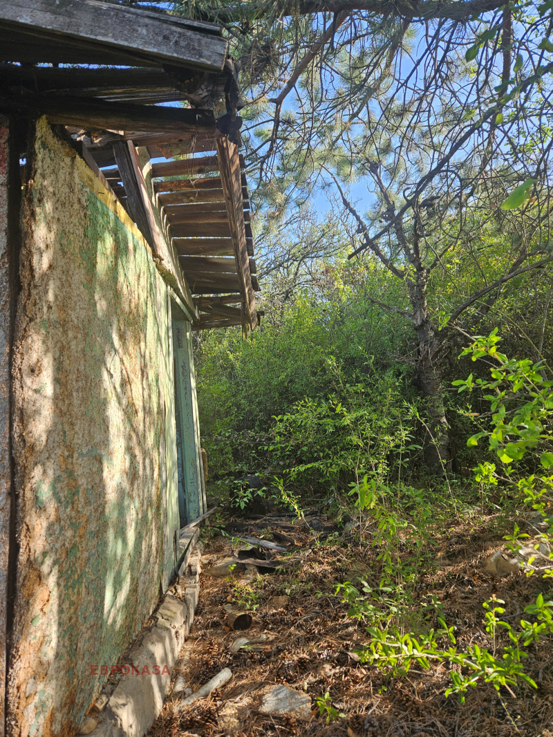 Na prodej  Spiknutí oblast Sofia , Elešnica , 600 m2 | 84608584