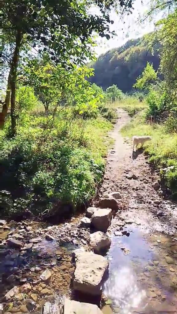 Продава ПАРЦЕЛ, с. Згурово, област Кюстендил, снимка 10 - Парцели - 52793960