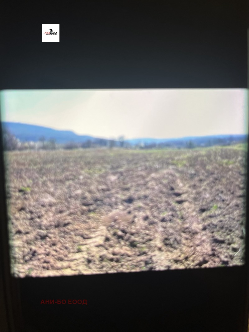 Продава ПАРЦЕЛ, с. Прилеп, област Добрич, снимка 2 - Парцели - 53294034