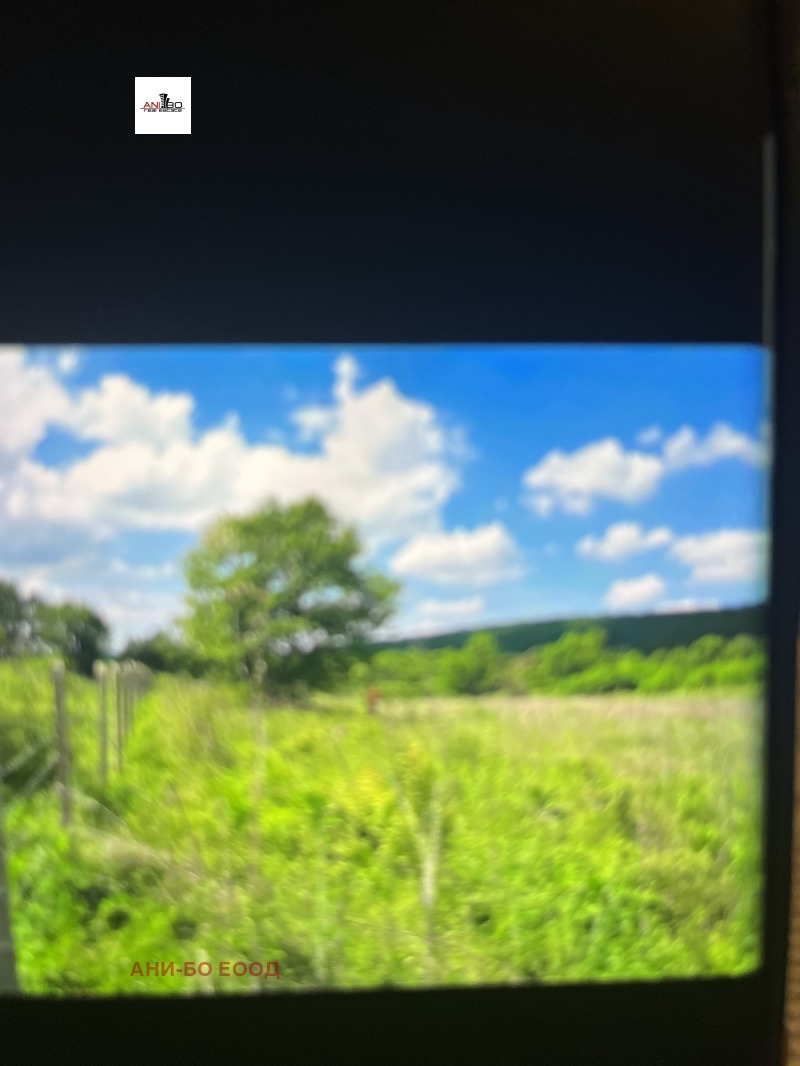 Продава ПАРЦЕЛ, с. Прилеп, област Добрич, снимка 4 - Парцели - 53294034