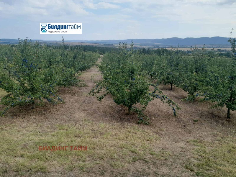 In vendita  Terra regione Shumen , Osmar , 57 dka | 20986077 - Immagine [17]