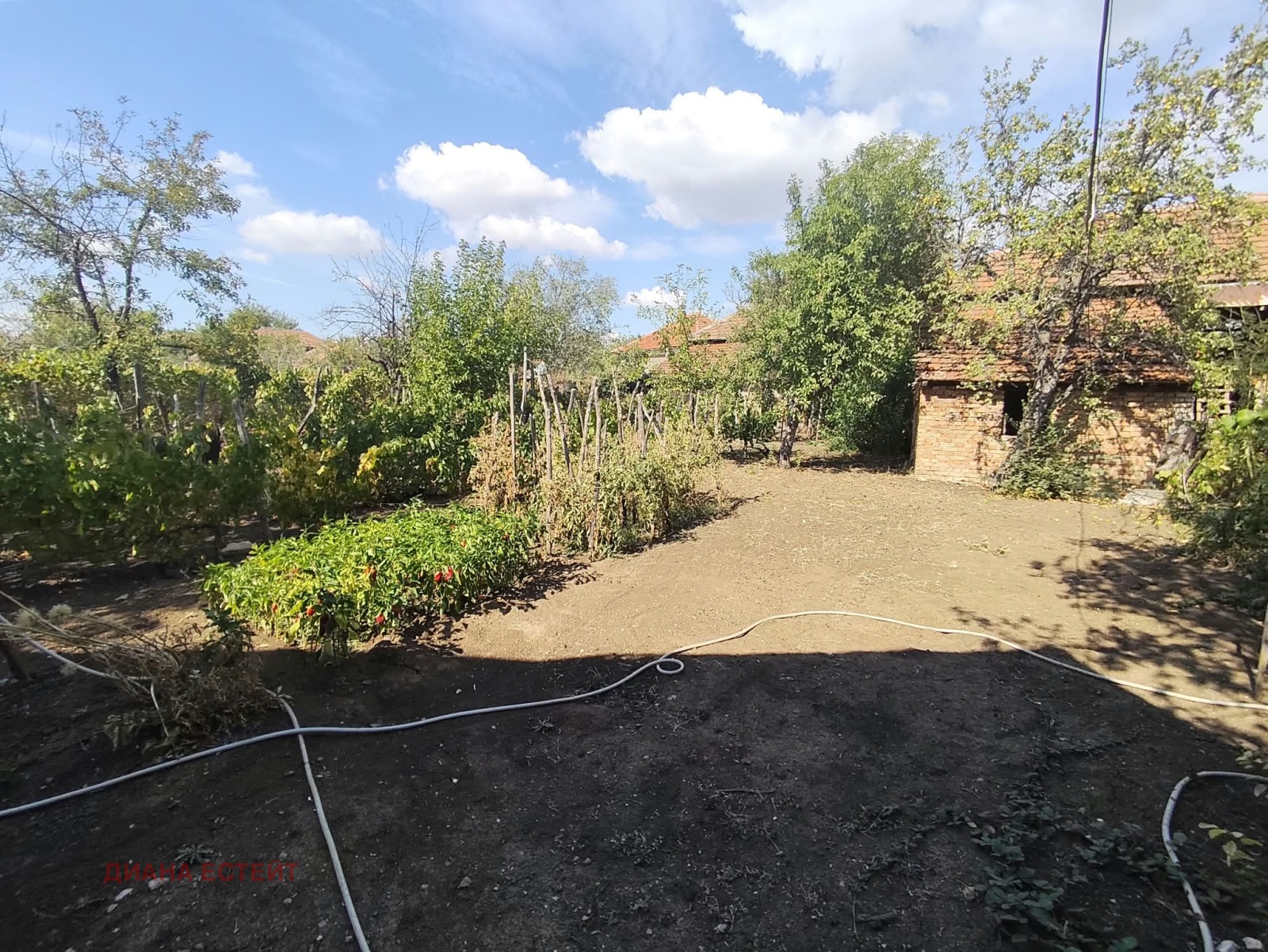 Продава КЪЩА, с. Градец, област Видин, снимка 8 - Къщи - 56207873