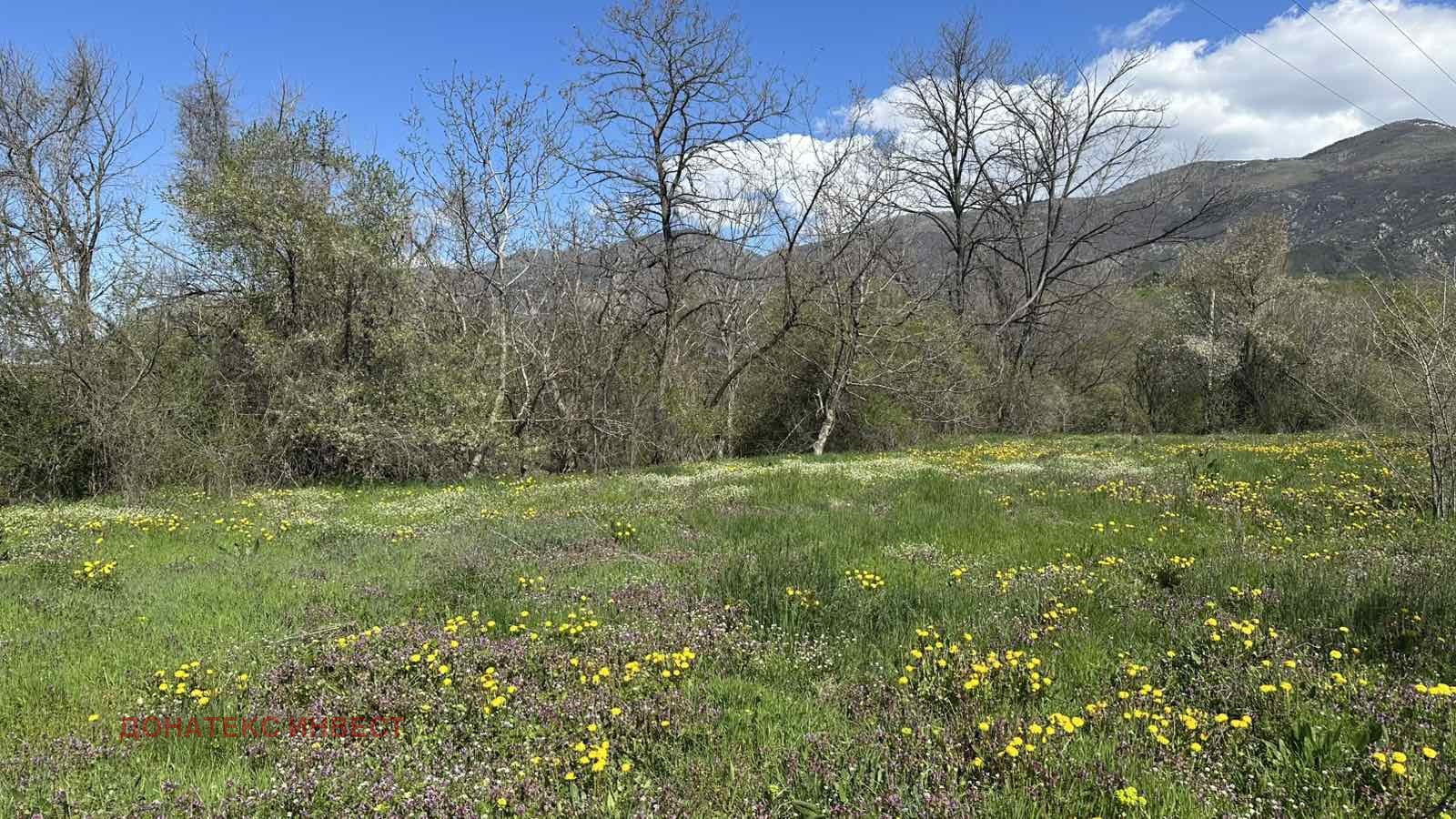 Продава ЗЕМЕДЕЛСКА ЗЕМЯ, гр. Карлово, област Пловдив, снимка 2 - Земеделска земя - 54204246