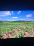 Продава ПАРЦЕЛ, с. Прилеп, област Добрич, снимка 2