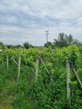 Продава ВИЛА, град Ямбол, Промишлена зона • 18000 лв. • 21254189 — Holmes.bg