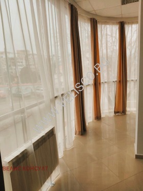 ����� ������� ����,���� �����, ����������