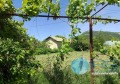 Продава ПАРЦЕЛ, с. Троица, област Шумен, снимка 2