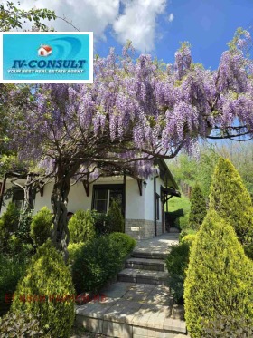 ������� ���� | Imot.bg � ����� ������ 8