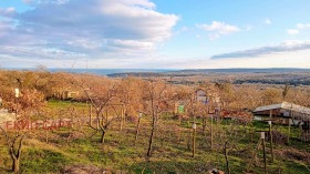 ����� ������� ����,���� �����, �-� ������� - ��