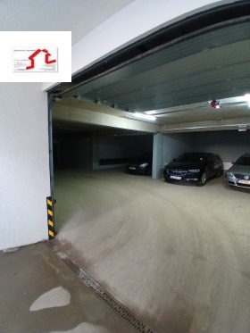 ����� ������� �����,���� �����, �������� ������