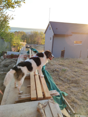 ������� ������ | Imot.bg � ����� ������ 3