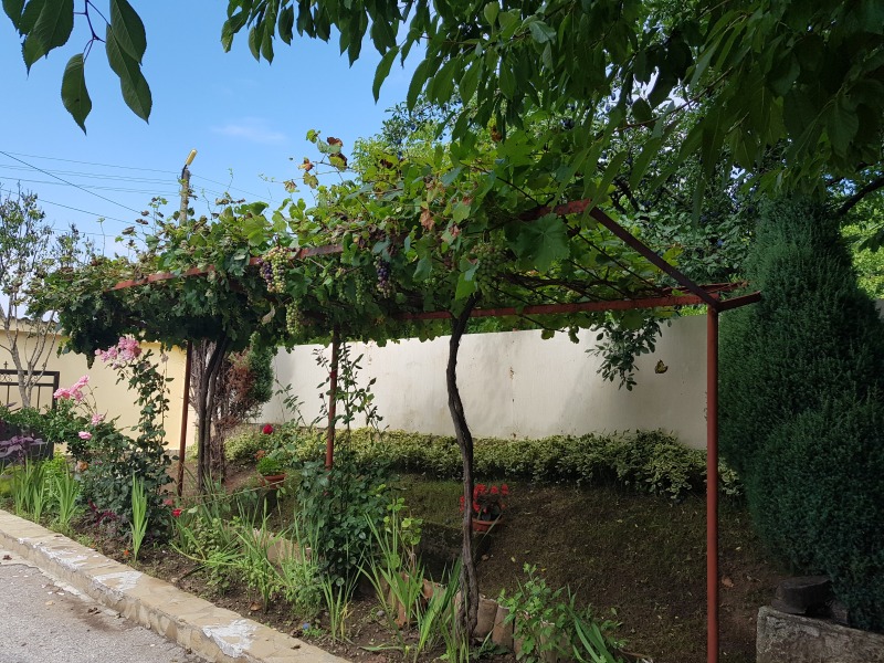 Продава КЪЩА, гр. Бяла, област Русе, снимка 7 - Къщи - 52949651