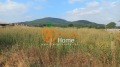 Продава ПАРЦЕЛ, с. Оброчище, област Добрич, снимка 5