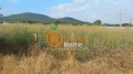Продава ПАРЦЕЛ, с. Оброчище, област Добрич, снимка 4