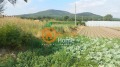 Продава  Парцел област Добрич , с. Оброчище , 670 кв.м | 27503373 - изображение [8]
