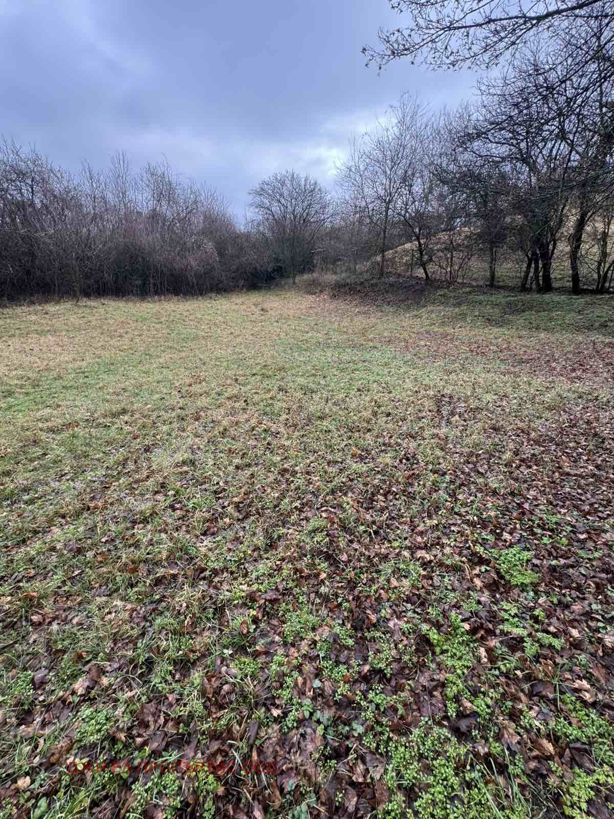 ������� ������ | Imot.bg � ����������� 5