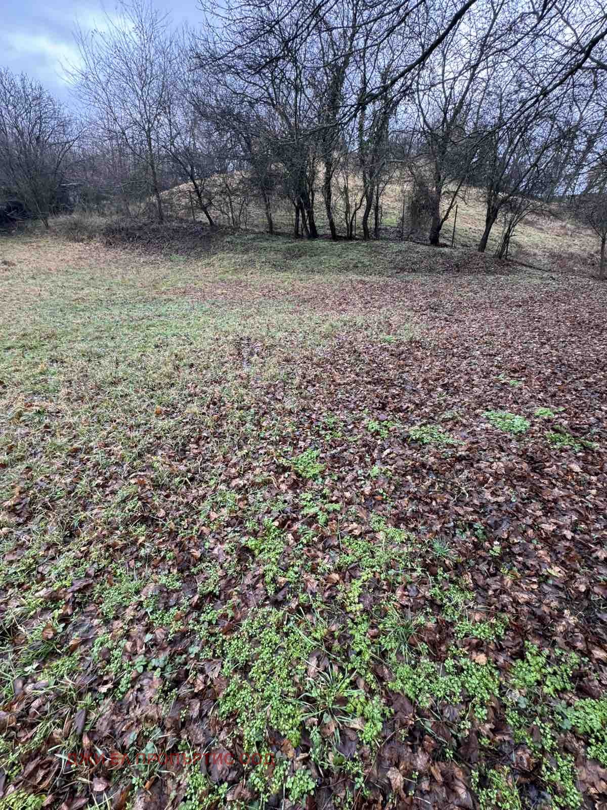 ������� ������ | Imot.bg � ����������� 6