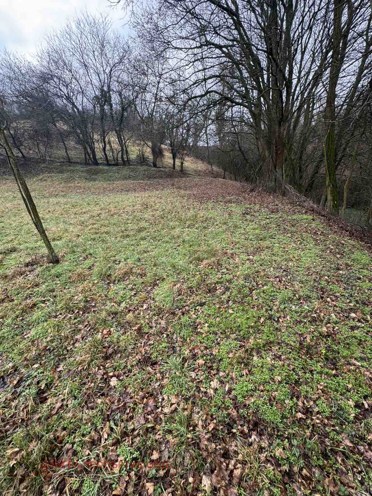 ������� ������ | Imot.bg � ����������� 8