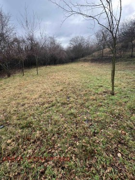 ������� ������ | Imot.bg � ����� ������ 10