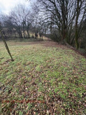 ������� ������ | Imot.bg � ����� ������ 8