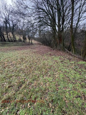 ������� ������ | Imot.bg � ����� ������ 9