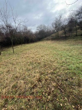 ������� ������ | Imot.bg � ����� ������ 11