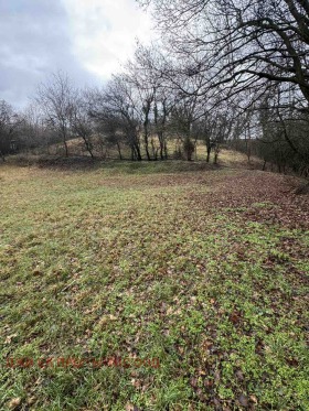 ������� ������ | Imot.bg � ����� ������ 7