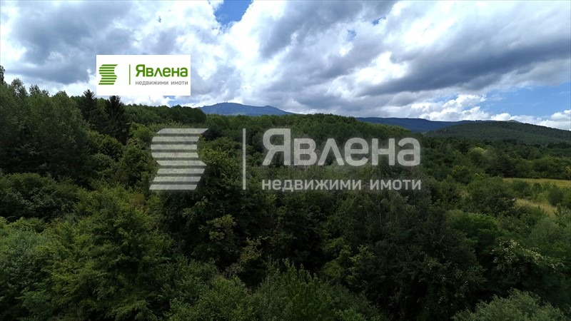 Продава КЪЩА, гр. София, с. Бистрица, снимка 13 - Къщи - 54285927