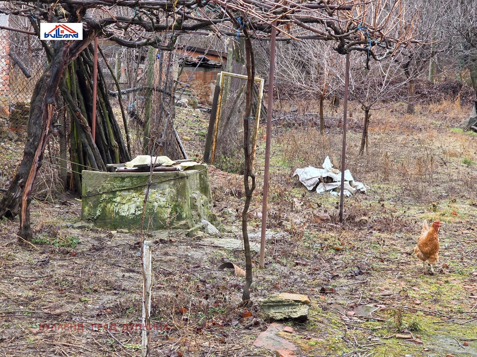 ������� ���� | Imot.bg � ����������� 5