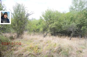 ������� ���� | Imot.bg � ����� ������ 8