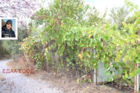 ������� ���� | Imot.bg � ����� ������ 15