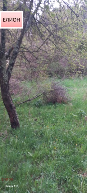 ������� ������ | Imot.bg � ����� ������ 2