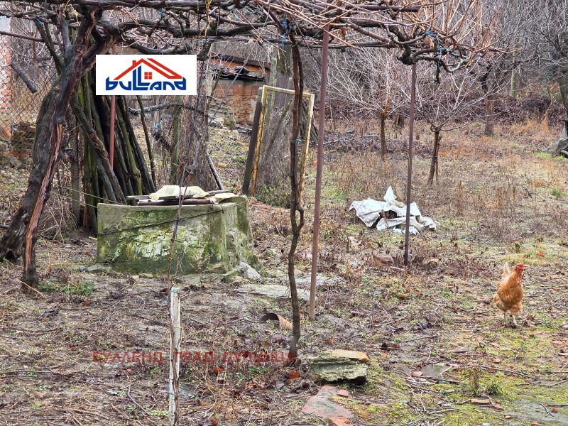 Продава КЪЩА, с. Мало село, област Кюстендил, снимка 4 - Къщи - 53253740