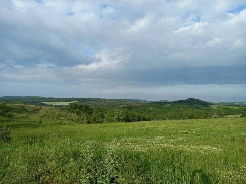 Продава  Парцел, област Бургас, гр. Созопол • 16 700 EUR • ID 65941770 — holmes.bg - [1] 